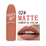 12 Colors Nude Matte Lipsticks batom mate Sexy