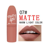 12 Colors Nude Matte Lipsticks batom mate Sexy